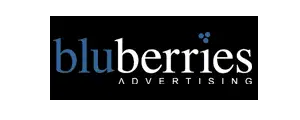 bluberries.com