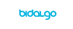 bidalgo.com
