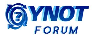 network.ynot.com